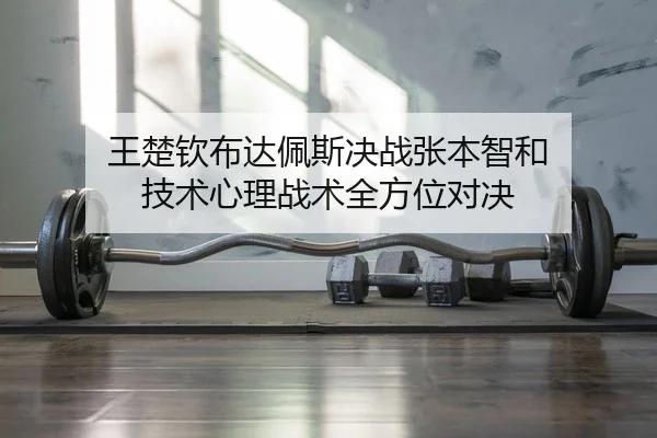 王楚钦布达佩斯决战张本智和 技术心理战术全方位对决